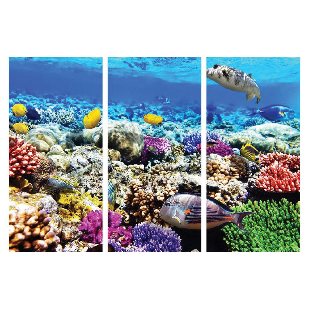 Acrylglasbild Tiefsee Aquarium HD Hochformat Bilder