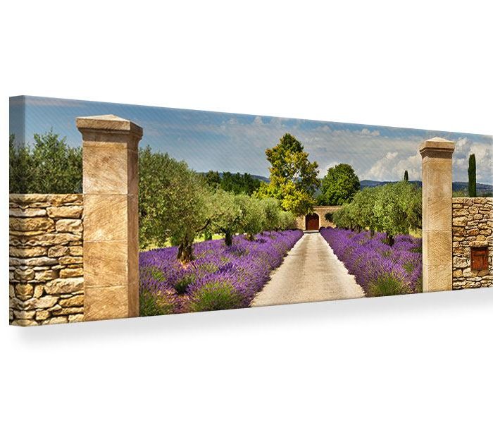 Leinwandbild Bunt Panorama Lavendel Garten Querformat
